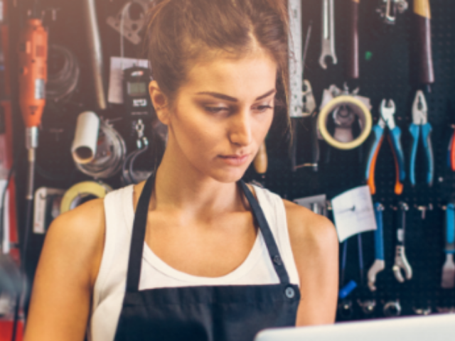 SEBRAE - Inovação e possibilidades de crescimento